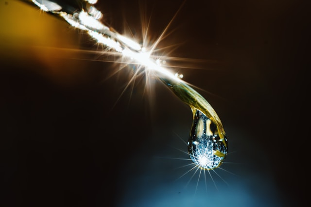 tobias schulz upobojklbq4 unsplash